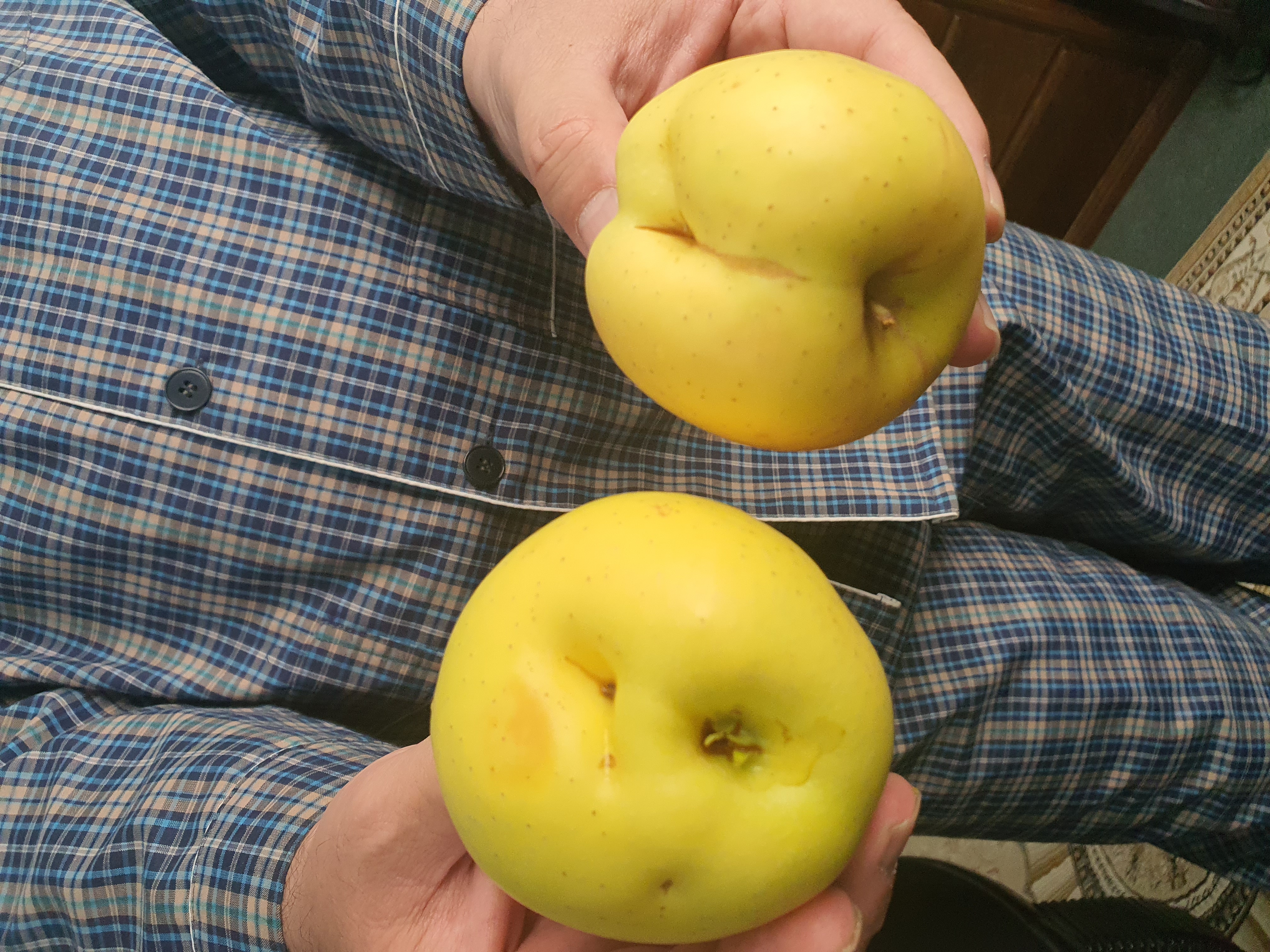 مشخصات، قیمت و خرید سیب زرد دماوند Fresh وزن 1 کیلوگرم | دیجی‌کالا